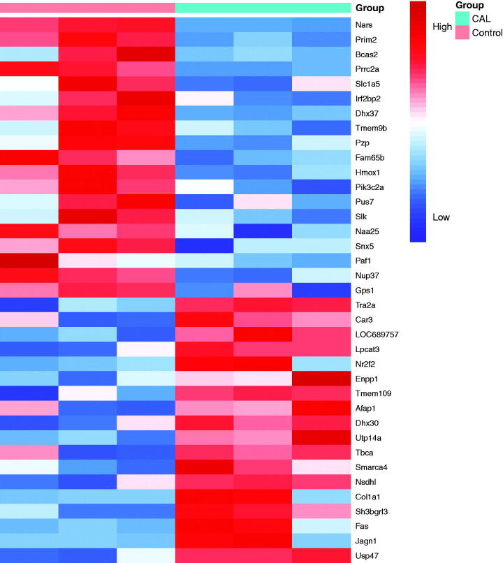 Ubiquitin-specific protease 47 is associated with vascular calcification in chronic kidney disease by regulating osteogenic transdifferentiation of vascular smooth muscle cells.