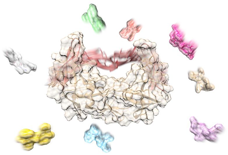 Brownian dynamics simulations of biomolecular diffusional association processes