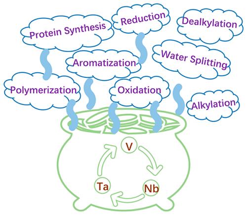 Applications of Vanadium, Niobium, and Tantalum Complexes in Organic and Inorganic Synthesis