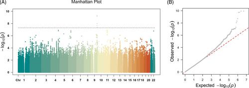 TTLL11 gene is associated with sustained attention performance and brain networks: A genome-wide association study of a healthy Chinese sample