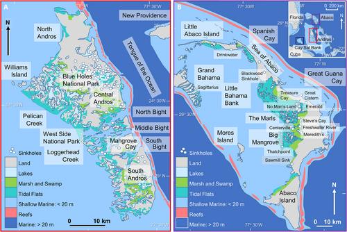 Flooding of a carbonate platform: The Sian Kaʼan Wetlands, Yucatán, Mexico—A model for the formation and evolution of palustrine carbonate factories around the modern Caribbean Sea and in the depositional record