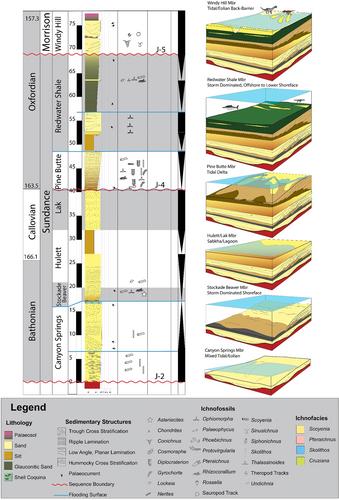 Unconformity generation and the shift from storm-dominated to tide-dominated processes in a Jurassic retroarc foreland basin: Insights from ichnology