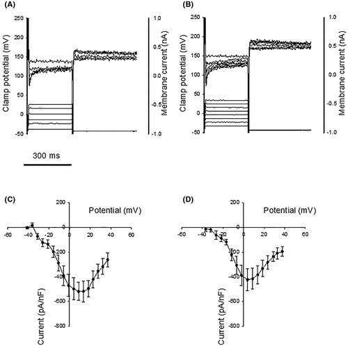 Excitation and contraction of cardiac muscle and coronary arteries of brain-dead pigs