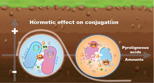 Hormetic Effect of Pyroligneous Acids on Conjugative Transfer of Plasmid-mediated Multi-antibiotic Resistance Genes within Bacterial Genus