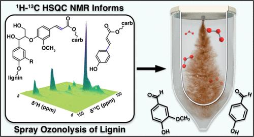 Correlation between Lignin–Carbohydrate Complex Content in Grass Lignins and Phenolic Aldehyde Production by Rapid Spray Ozonolysis