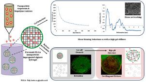 Fabrication and characterization of a bilayered system enabling sustained release of bioflavonoids derived from mandarin biomass