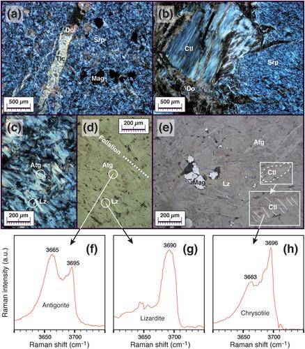 Polyphase tectonic reworking of serpentinites and chlorite-tremolite-talc rocks (SW Spain) from the subduction forearc to intracontinental emplacement