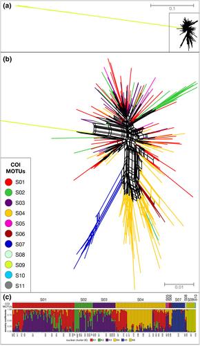 Morphology, nuclear SNPs and mate selection reveal that COI barcoding overestimates species diversity in a Mediterranean freshwater amphipod by an order of magnitude