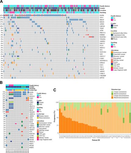 A novel NGS-based diagnostic algorithm for classifying multifocal lung adenocarcinomas in pN0M0 patients