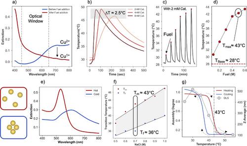 Coupling Reversible Clustering of DNA-Coated Gold Nanoparticles with Chemothermal Cycloaddition Reaction