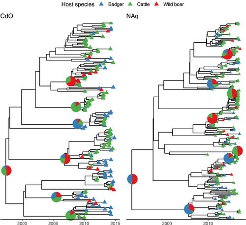 Deciphering the role of host species for two Mycobacterium bovis genotypes from the European 3 clonal complex circulation within a cattle-badger-wild boar multihost system