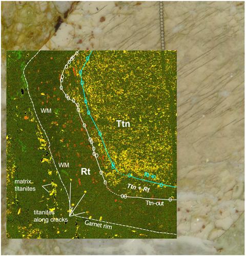 Discrimination of thermodynamic and kinetic contributions to the heavy rare earth element patterns in metamorphic garnet