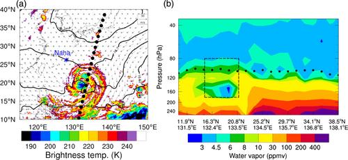 Impact of typhoon Soudelor on ozone and water vapor in the Asian monsoon anticyclone western Pacific mode