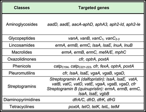 An in-house 45-plex array for the detection of antimicrobial resistance genes in Gram-positive bacteria