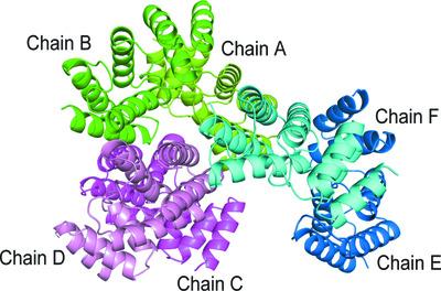 Crystal structure of the C-terminal domain of the plant-specific microtubule-associated protein Spiral2