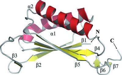 The structure of a tautomerase superfamily member linked to the type VI secretion system of Acinetobacter baumannii