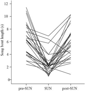 Vermilion flycatchers avoid singing during sudden peaks of anthropogenic noise