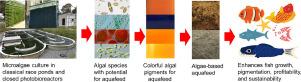 Aquaculture sustainability through alternative dietary ingredients: Microalgal value-added products