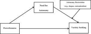 Powerlessness, variety-seeking, and the mediating role of need for autonomy