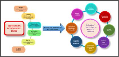 Repurposing of metabolic drugs and mitochondrial modulators as an emerging class of cancer therapeutics with a special focus on breast cancer