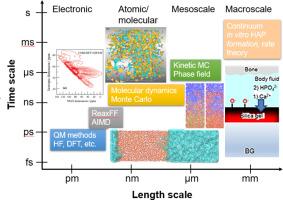 Effects of boron oxide on the structure, properties and bioactivities of bioactive glasses: A review