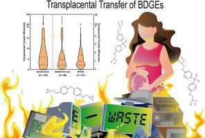 Placental transfer of bisphenol diglycidyl ethers (BDGEs) and its association with maternal health in a population in South of China