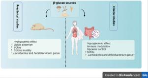 Insights on β-glucan as a prebiotic coadjuvant in the treatment of diabetes mellitus: A review