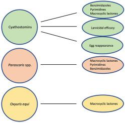 Anthelmintic resistance in equine nematodes: Current status and emerging trends