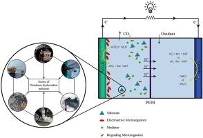 Microbial fuel cell applications for removal of petroleum hydrocarbon pollutants: A review