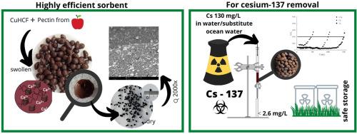 Highly efficient copper hexacyanoferrate-embedded pectin sorbent for radioactive cesium ions removal