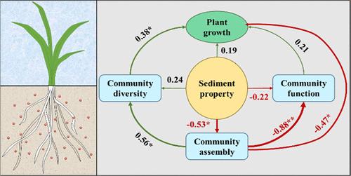Microbiological Processes of Submicrometer Plastics Affecting Submerged Plant Growth in a Chronic Exposure Microcosm