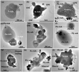 Variations in mixing states of organic aerosol composition and formation of secondary organic aerosol at background region