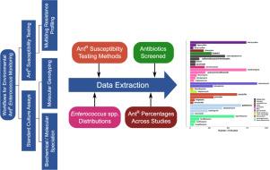 Towards the standardization of Enterococcus culture methods for waterborne antibiotic resistance monitoring: A critical review of trends across studies