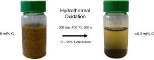 A prototype system for the hydrothermal oxidation of feces