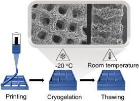 Macroporous 3D printed structures for regenerative medicine applications