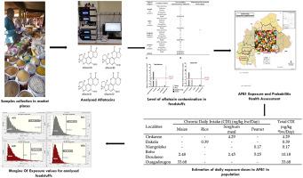 Aflatoxins contents determination in some foodstuffs in Burkina Faso and human health risk assessment