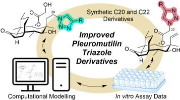 Synthesis, testing, and computational modeling of pleuromutilin 1,2,3-triazole derivatives in the ribosome