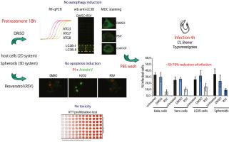 In vitro evaluation of Resveratrol as a potential pre-exposure prophylactic drug against Trypanosoma cruzi infection