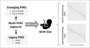 Associations between emerging chlorinated polyfluoroalkyl ether sulfonic acids exposure and birth size