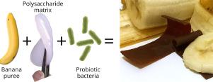 Banana leathers as influenced by polysaccharide matrix and probiotic bacteria