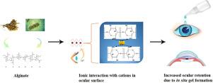 Recent progress in alginate-based carriers for ocular targeting of therapeutics