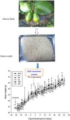 Guava seed polysaccharides ameliorate the inflammatory status in PC-3 xenograft mice