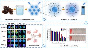 Nanocarrier from water extract solution of Auricularia auricula for zinc delivery