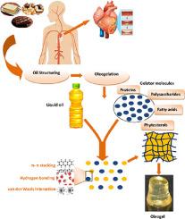 Oleogels: Promising alternatives to solid fats for food applications