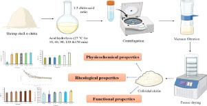 Effect of chemical treatment duration on physicochemical, rheological, and functional properties of colloidal chitin