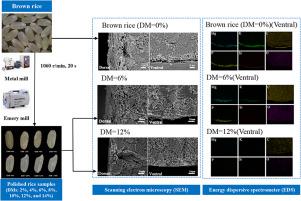 Effect of the degree of milling on the microstructure and composition of japonica rice