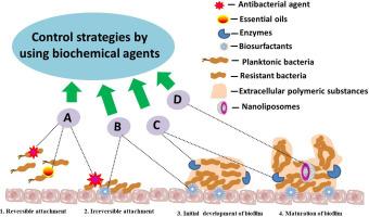 Strategies for controlling biofilm formation in food industry