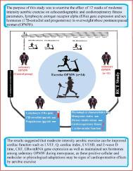 The effect of moderate intensity aerobic exercise on cardiovascular function, cardiorespiratory fitness and estrogen receptor alpha gene in overweight/obese postmenopausal women: A randomized controlled trial