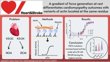 A gradient of force generation at rest differentiates cardiomyopathy outcomes with variants of actin located at the same residue