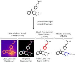 Interpretation of multi-task clearance models from molecular images supported by experimental design